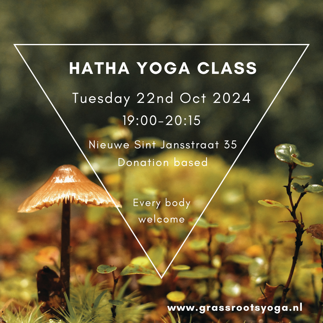 Yoga class Tuesday 22nd Oct 2024, 19:00-20:15 @ Nieuwe Sint Jansstraat 35