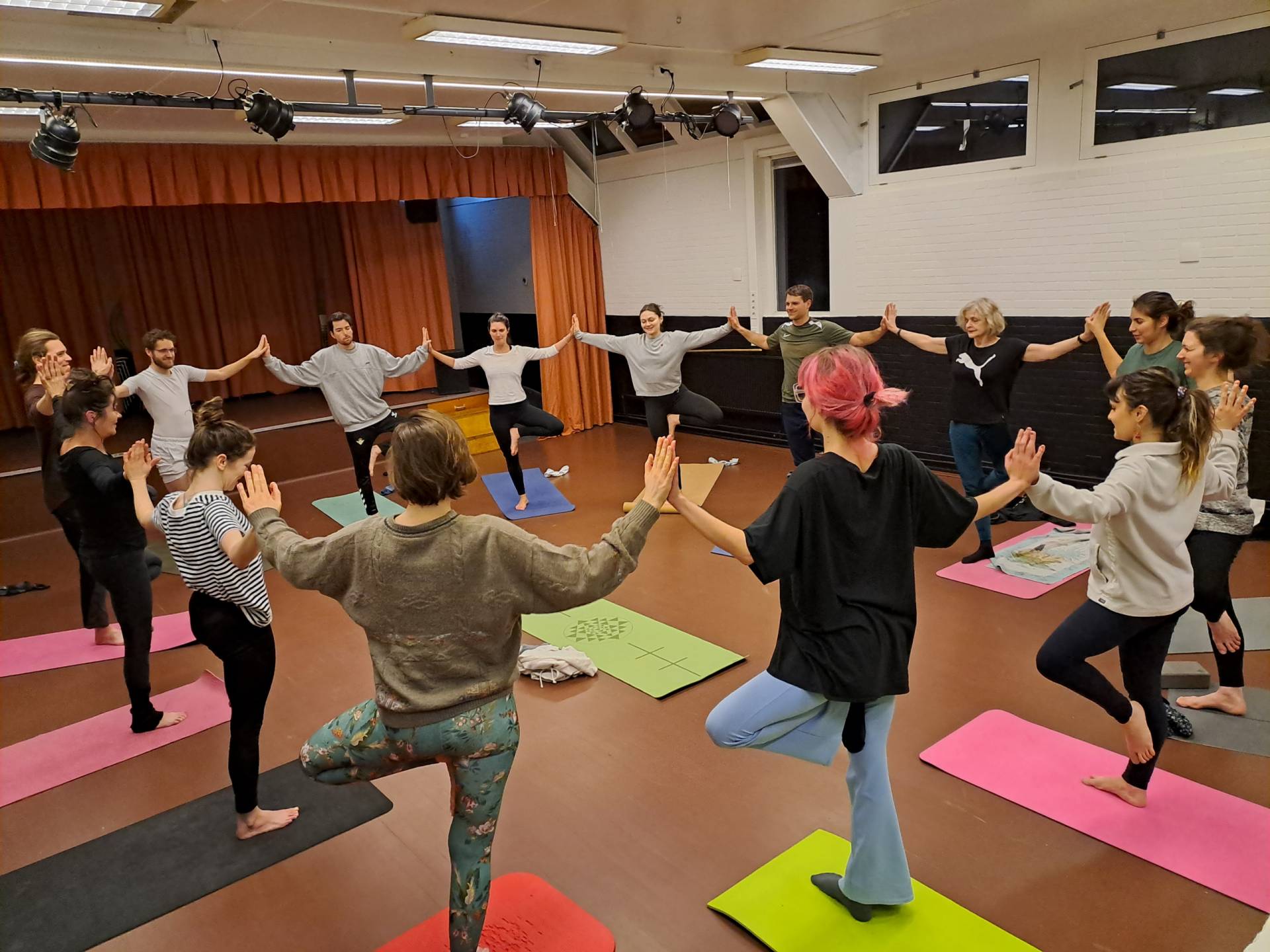forest of yoga trees